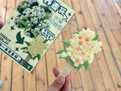 -库伦旗银沙湾旅游景区