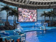 -海合安成都极地海洋公园