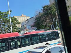-大商麦凯乐(大连总店)