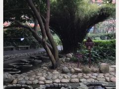 -成都市活水公园