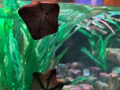 -沈阳海洋探索中心