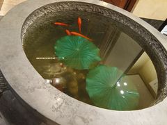 -福照楼汽锅鸡·云南菜(火车站锦江店)