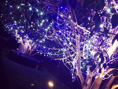 -杭州君悦酒店