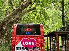 -西湖游船
