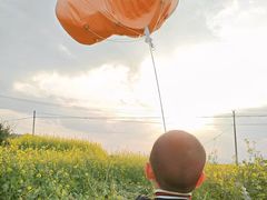 -桑洲油菜花景区