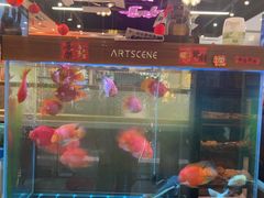 -龙记·香港茶餐厅(海上世界店)