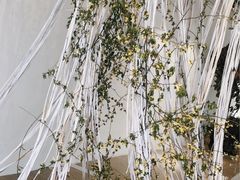 -桉树林A coffee 森林餐厅(三圣乡店)
