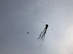 -栖露营camping·天幕烧烤·团建拓展·采摘营地