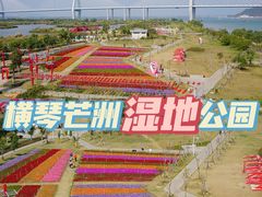 -芒洲湿地公园
