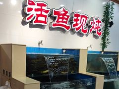 -屯老二农家铁锅炖·行业领军者(刘园店)