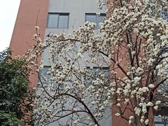 -南京晨光1865创意产业园