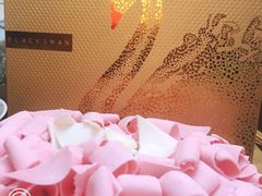 -BLACKSWAN黑天鹅(环球店)