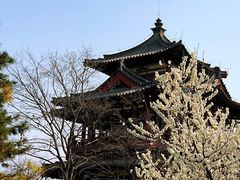 -西安青龙寺遗址景区