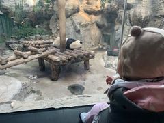 景点-北京动物园