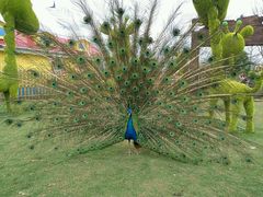 -云漫湖生态度假公园