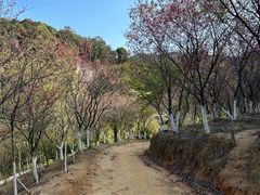 -世间香境·七溪地