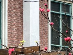 -岱江花园饭店