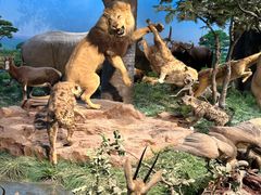 -国家自然博物馆