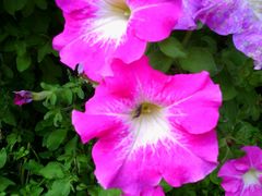 android_upload_pic-祥源·阜阳生态乐园