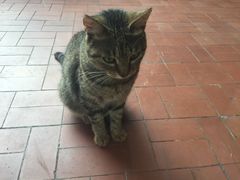 picture-马勒别墅饭店(静安寺店)