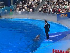 -海合安成都极地海洋公园