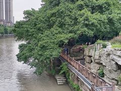 -成都市活水公园