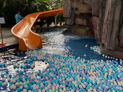 -中家鑫园温泉酒店鑫悦汤泉