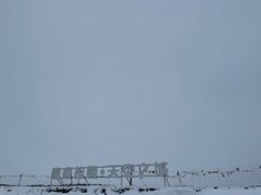 -小志家.鲜牦牛肉牛杂火锅野生菌汤锅