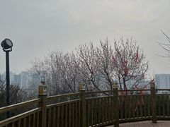 -南翠屏公园