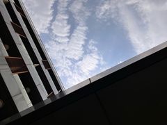 -上海南汇嘴大堤酒店