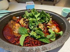 -黔渔翁豆花渎鱼(喷水池店)