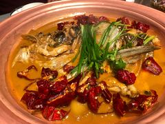 -柿合缘新京菜(国金中心商场店)