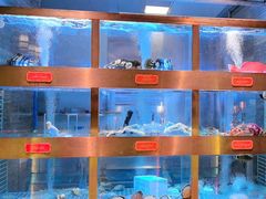 -ONE FULL 古董港式海鲜火锅