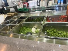 -油梨树AVOCADO TREE(望京店)
