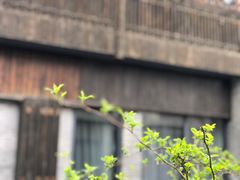 -扬州东关街文昌阁桔子水晶酒店