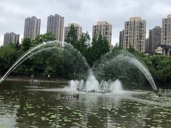 -龙头寺公园