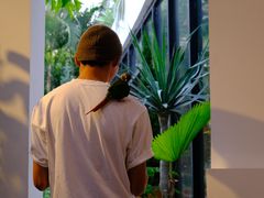 -自由生长植物工作室(深港花卉中心店)