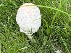 -苏州香山国际大酒店