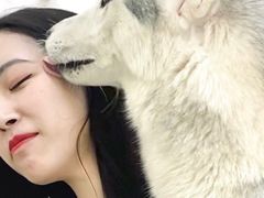 -星多哈·狗咖·拼豆·咖啡