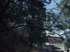 -香山公园