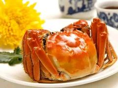 -新花城蟹粉馆(乌鲁木齐店)