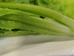 -马记伊源斋涮肉·清真菜(百子湾店)