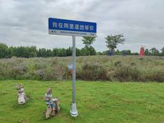 -同里国家湿地公园