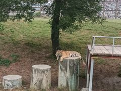 -宿豫区运河湾森林动物园