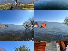 -大理洱海