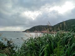 -枸杞岛