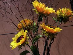 -马哥孛罗咖啡厅·Cafe Marco (厦门马哥孛罗东方大酒店)