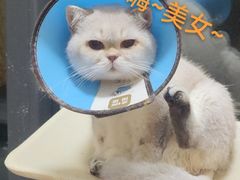 -联合动物医院(光谷诊疗中心)