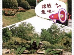-上海辰山植物园