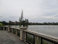 -美的鹭湖森林度假区